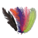Ostrich Plumes