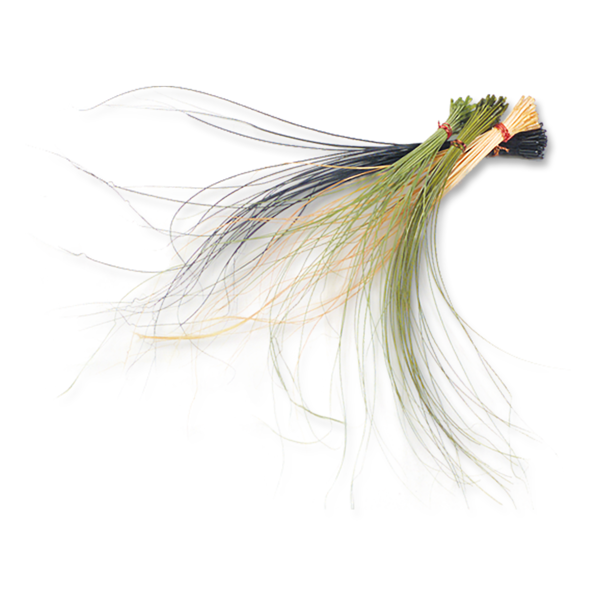 Stripped Hackle Quills