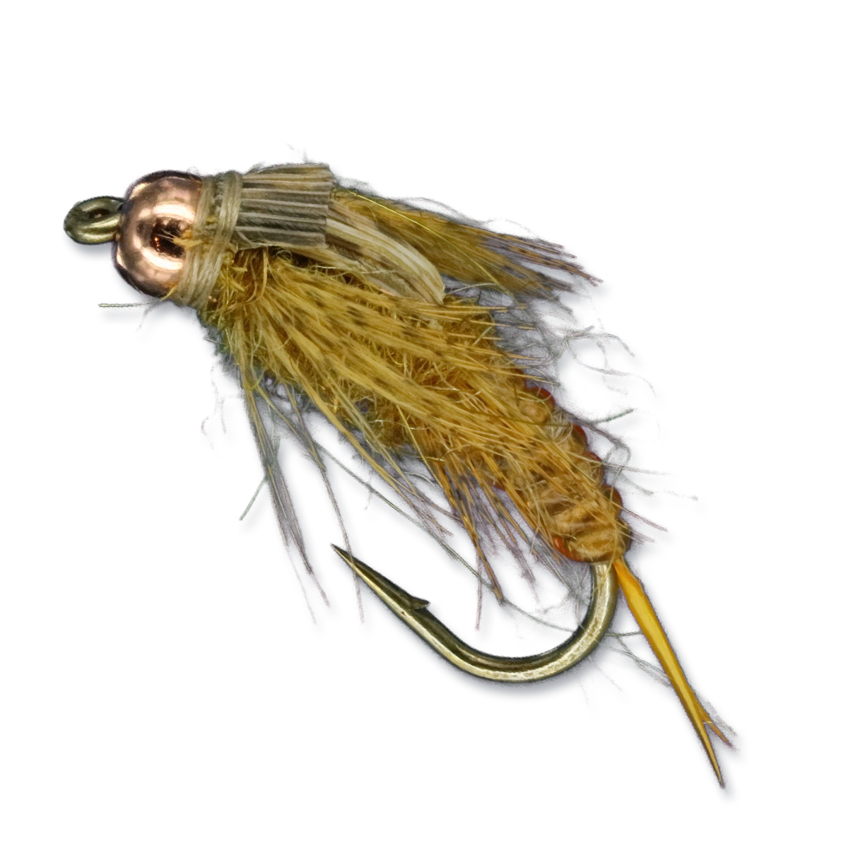 Andy's Conat Special