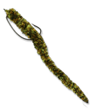 Rich's Ultimate Worm - #1/0