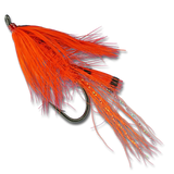 General Practitioner - #2