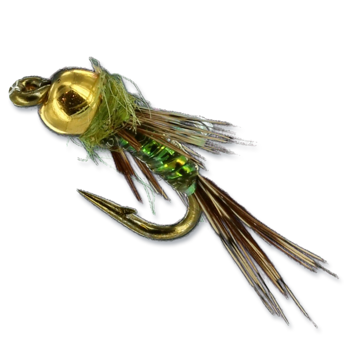 Mercer's Gidget - #18