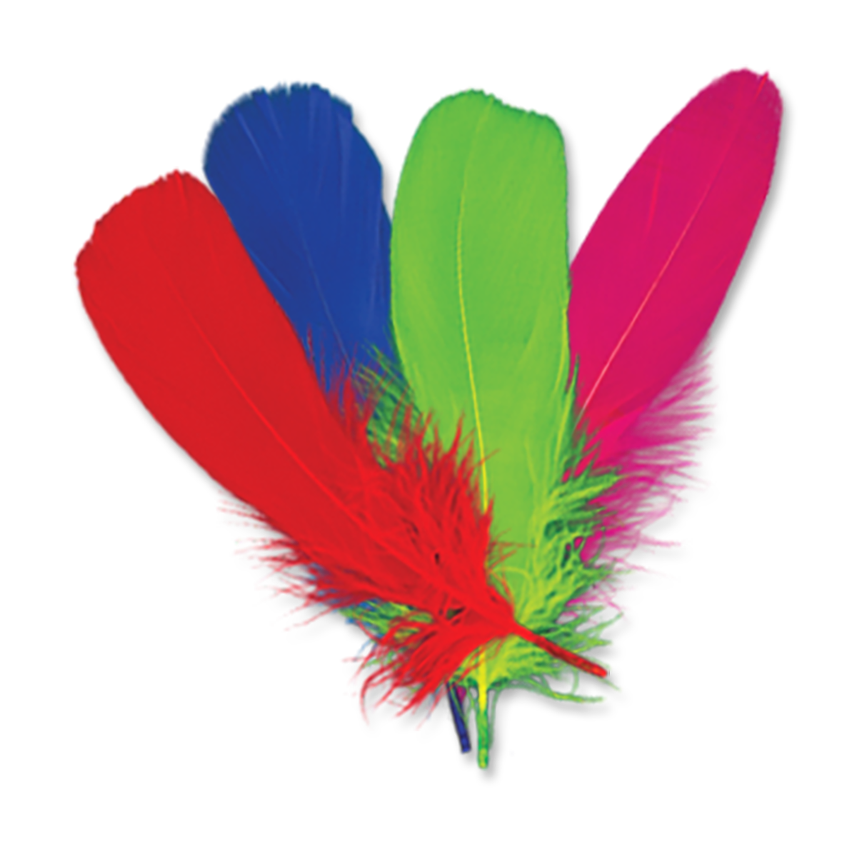 Goose Shoulder Feather