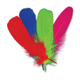 Goose Shoulder Feather