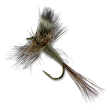 Natural Muskrat