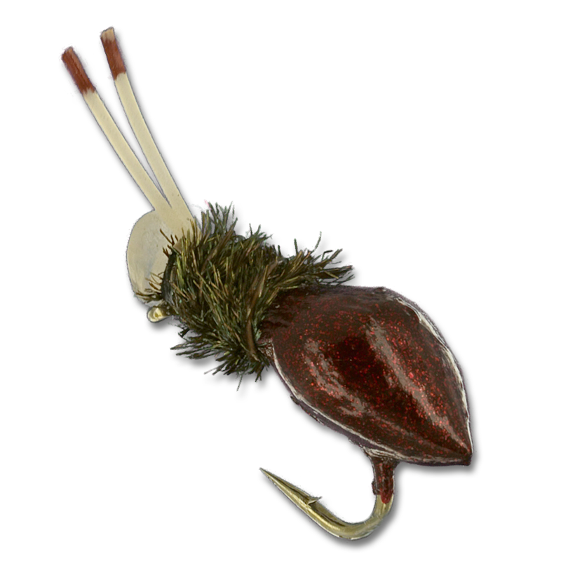 Alberto's Snail - #12