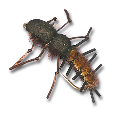 BH Hellgrammite - #6