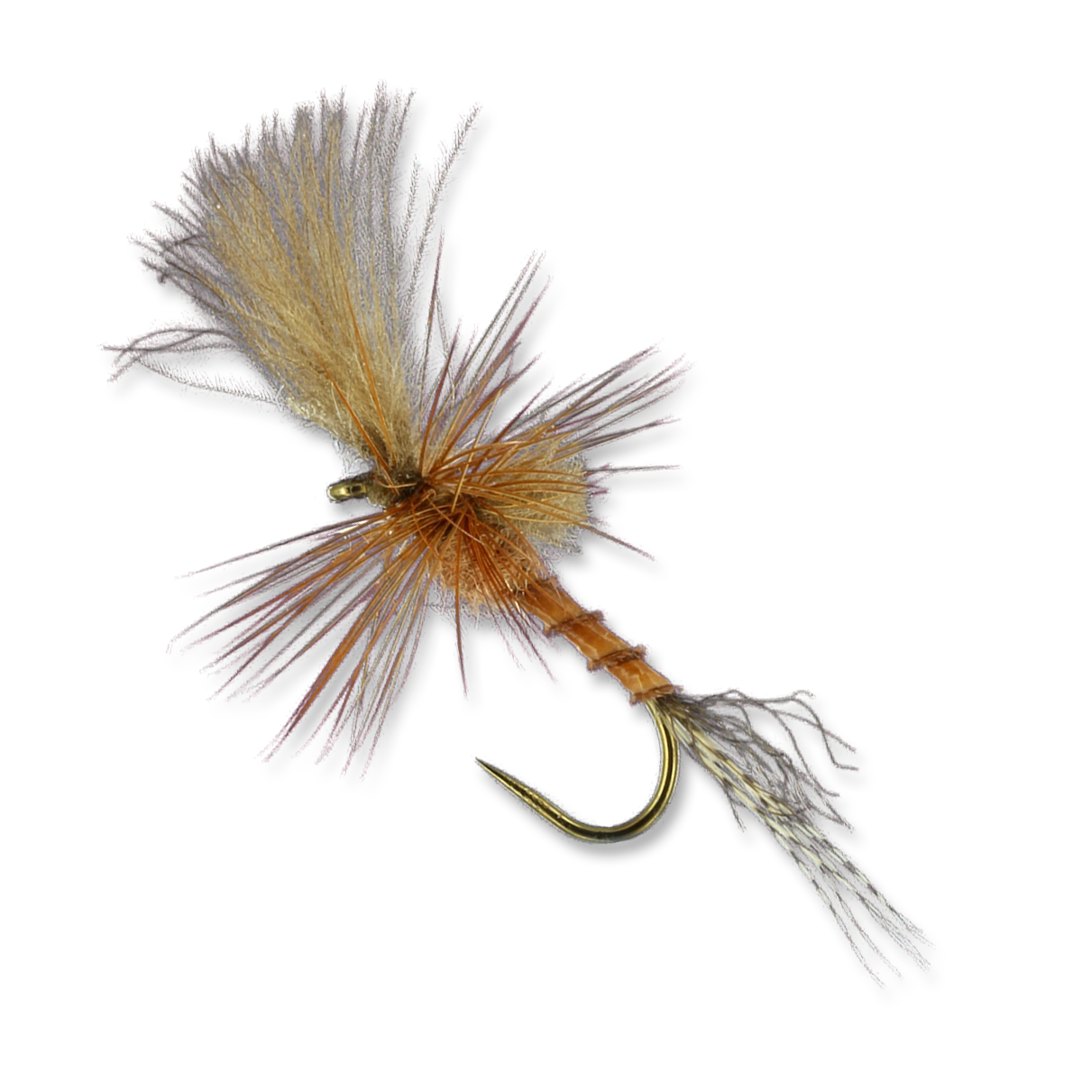 Harrop's Last Chance Cripple