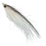 Los Roques Minnow - #2