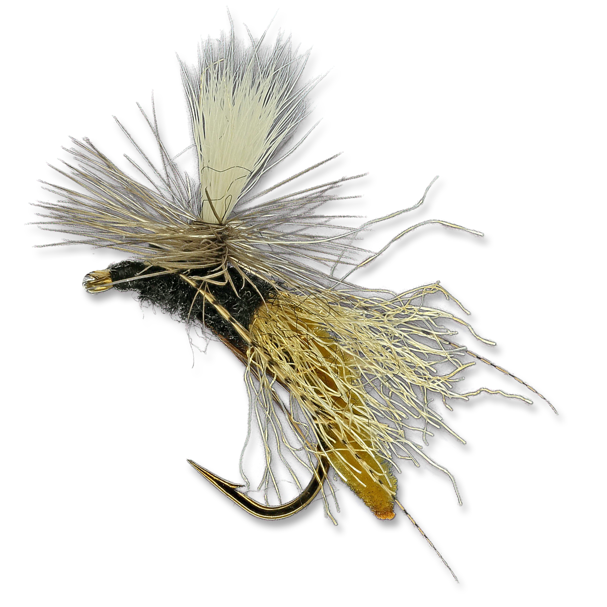 Spotlight Caddis Emerger