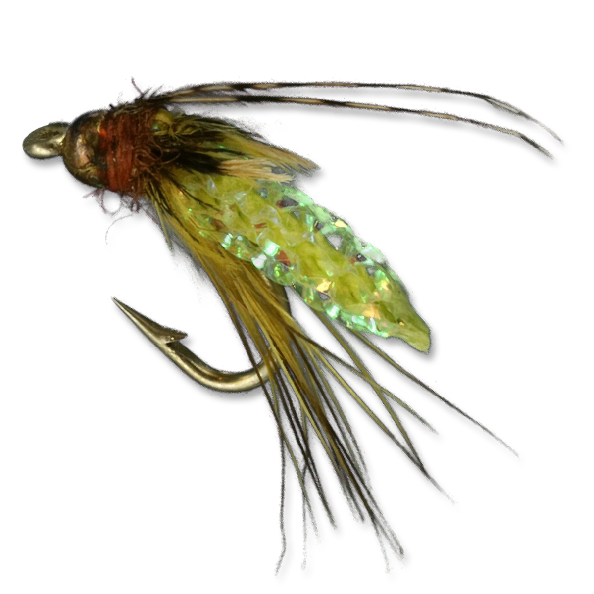 Silvey's Beaded Pupa