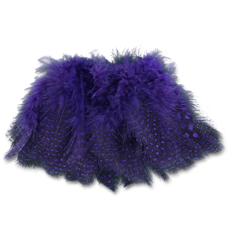 Select Guinea Body Feathers