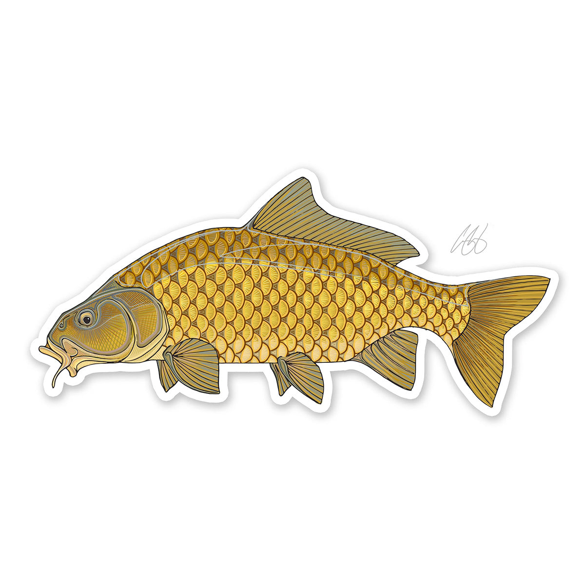 Casey Underwood Fish Decals