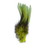 UV2 Coq De Leon Fire Tail Feathers
