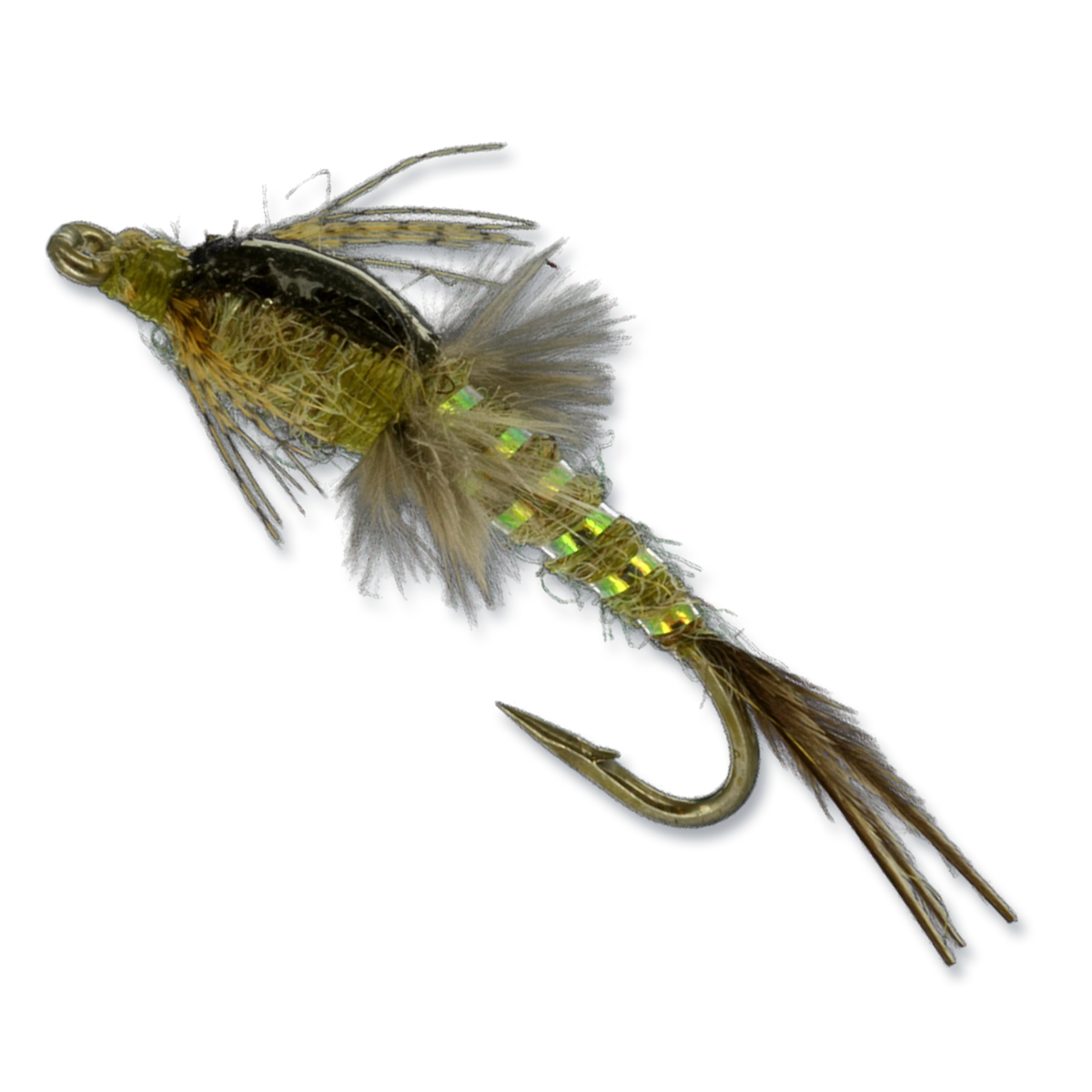 Mercer's Poxyback Callibaetis