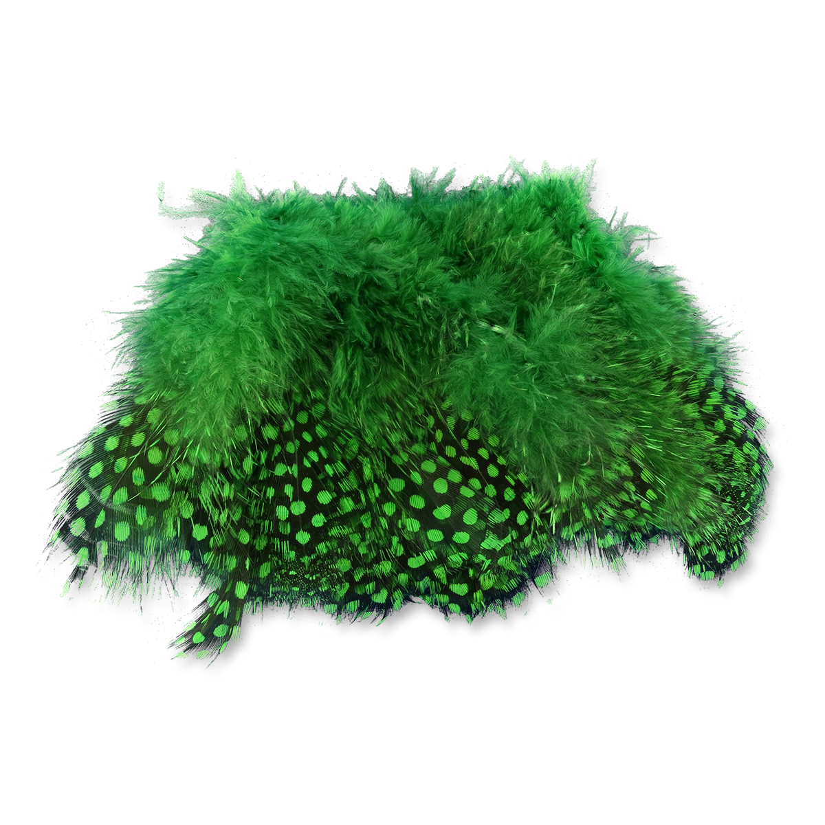 Select Guinea Body Feathers