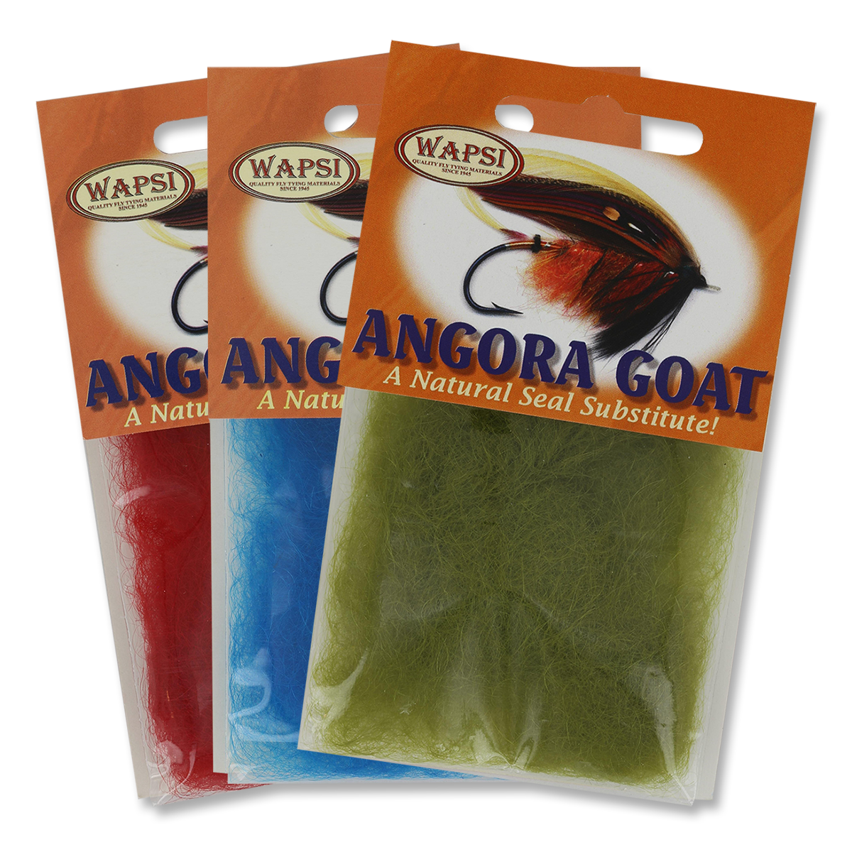 Angora Goat
