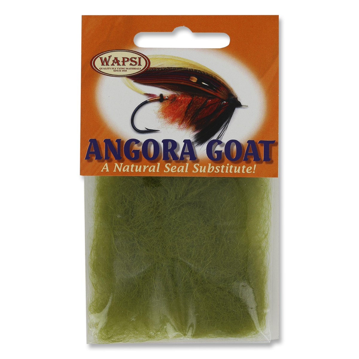 Angora Goat
