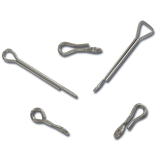 Articulated Fish Spines