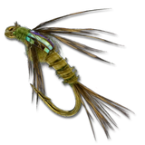 Lightnin's Biot Baetis