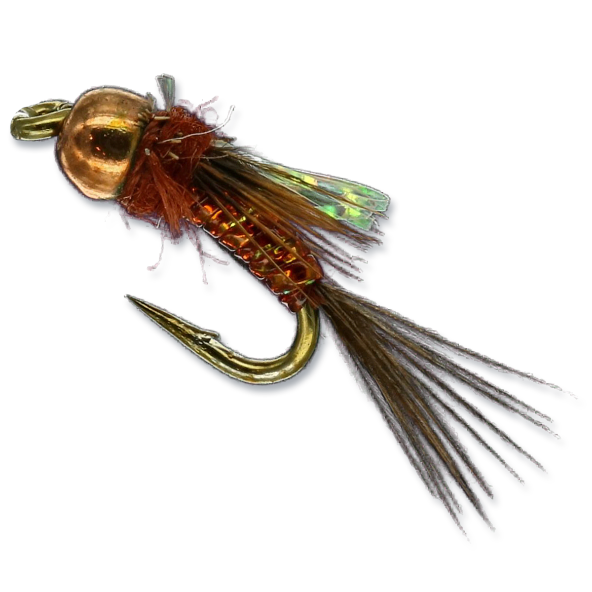 Mercer's Gidget - #18