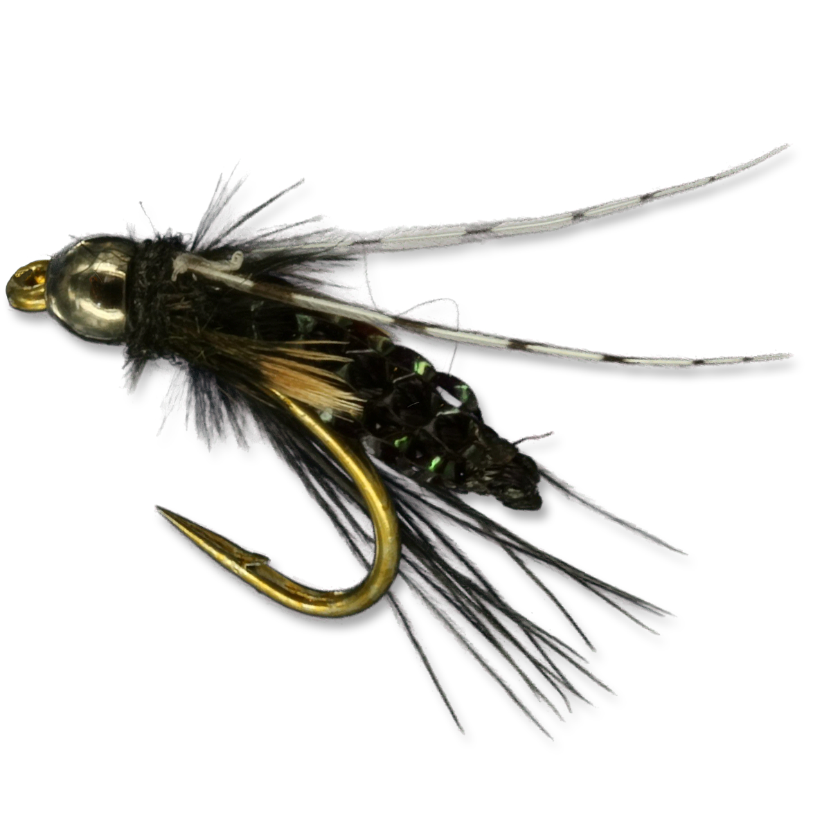 Silvey's Beaded Pupa