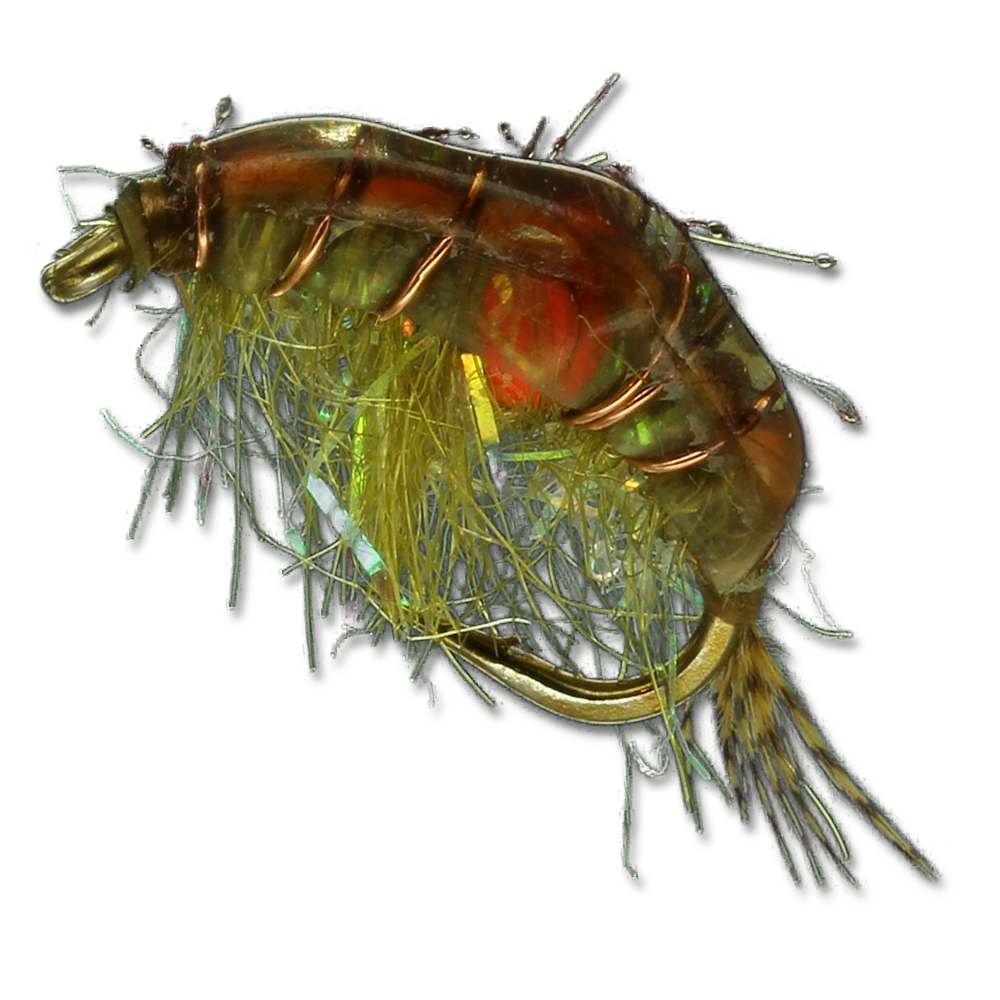 Expecting Scud - #14