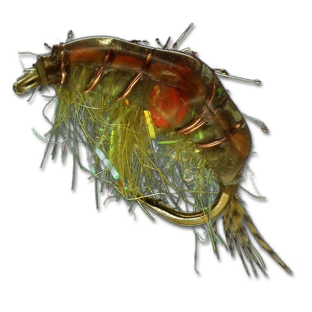 Expecting Scud - #14