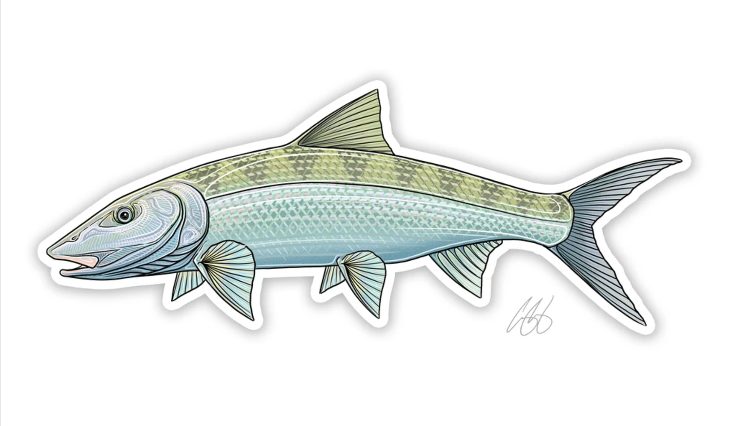 Casey Underwood Fish Decals