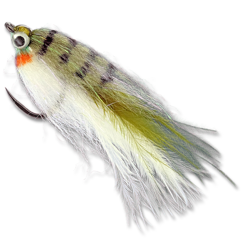 Baby Fat Minnow - #8