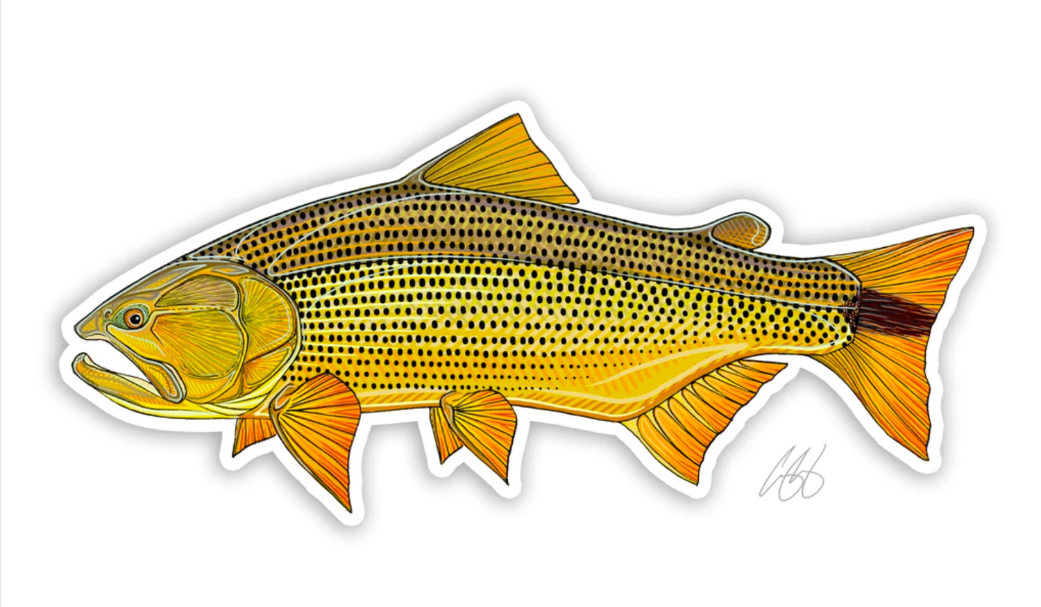 Casey Underwood Fish Decals