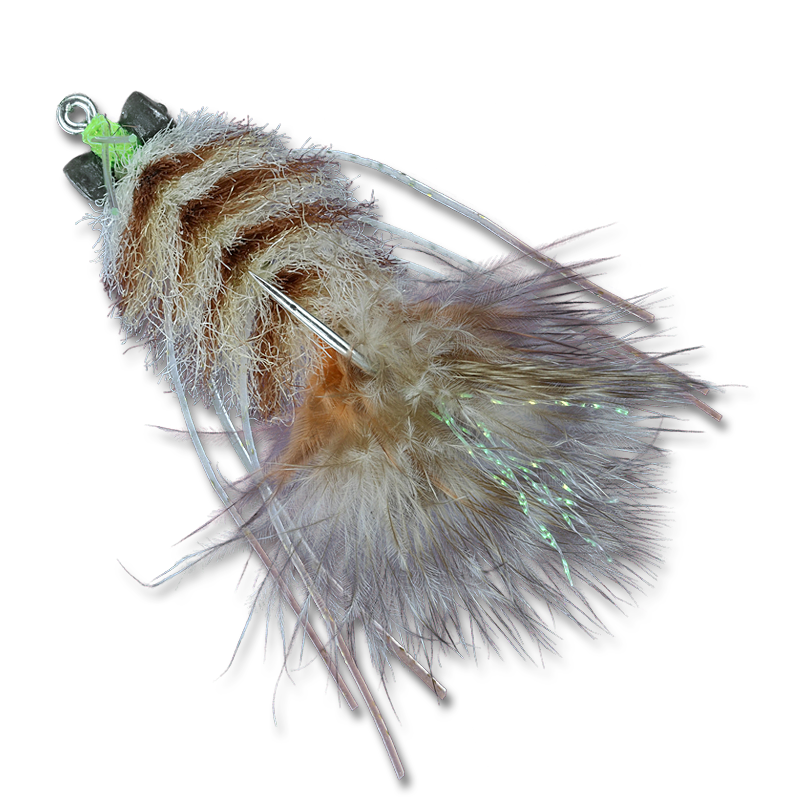 Enrico's Fleeing Crab