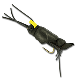 Big Secret Cricket - #10