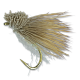 Potter's Fat Head Moth