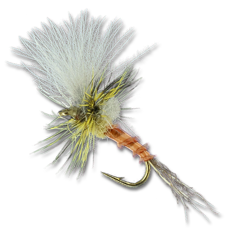 Harrop's Last Chance Cripple