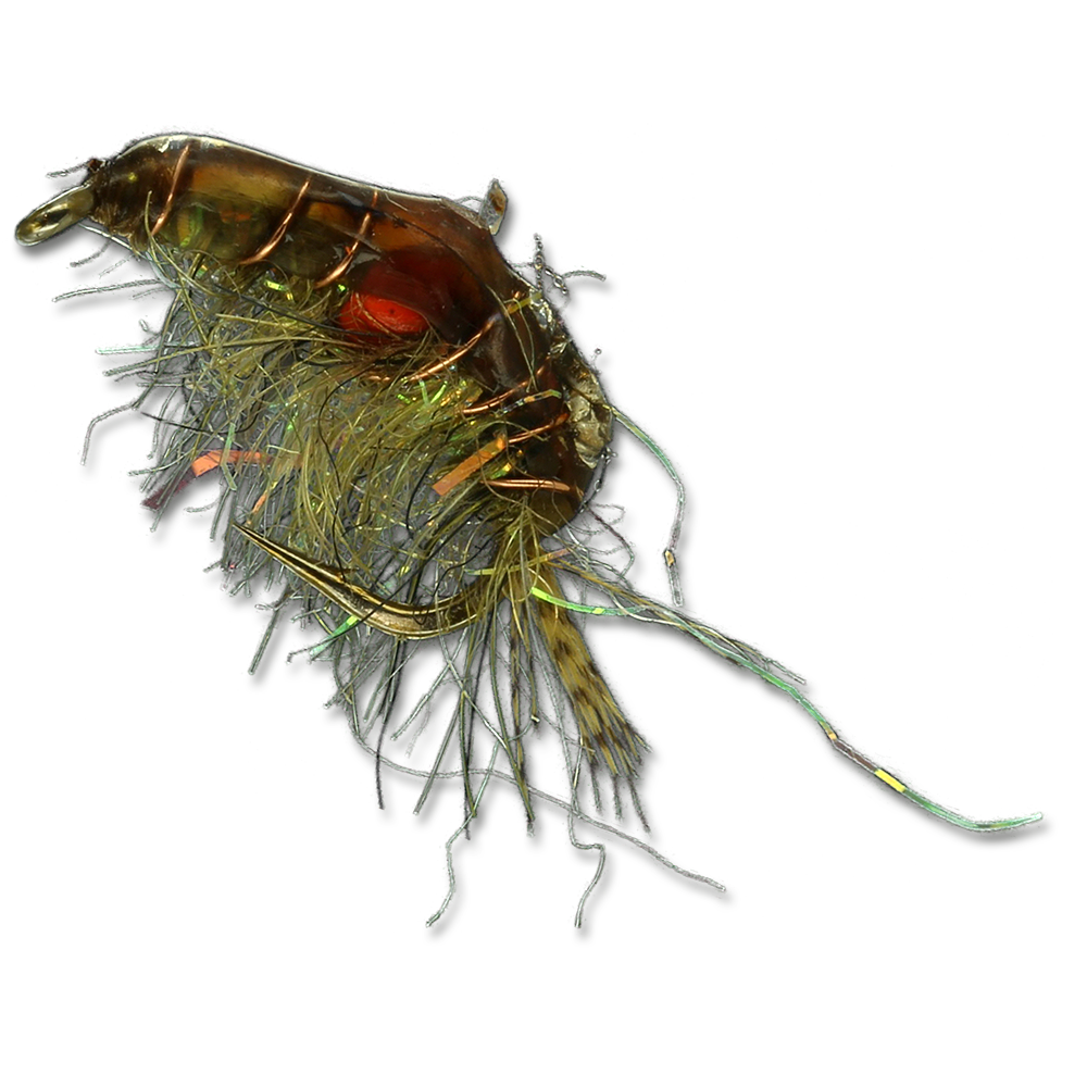 Expecting Scud - #14