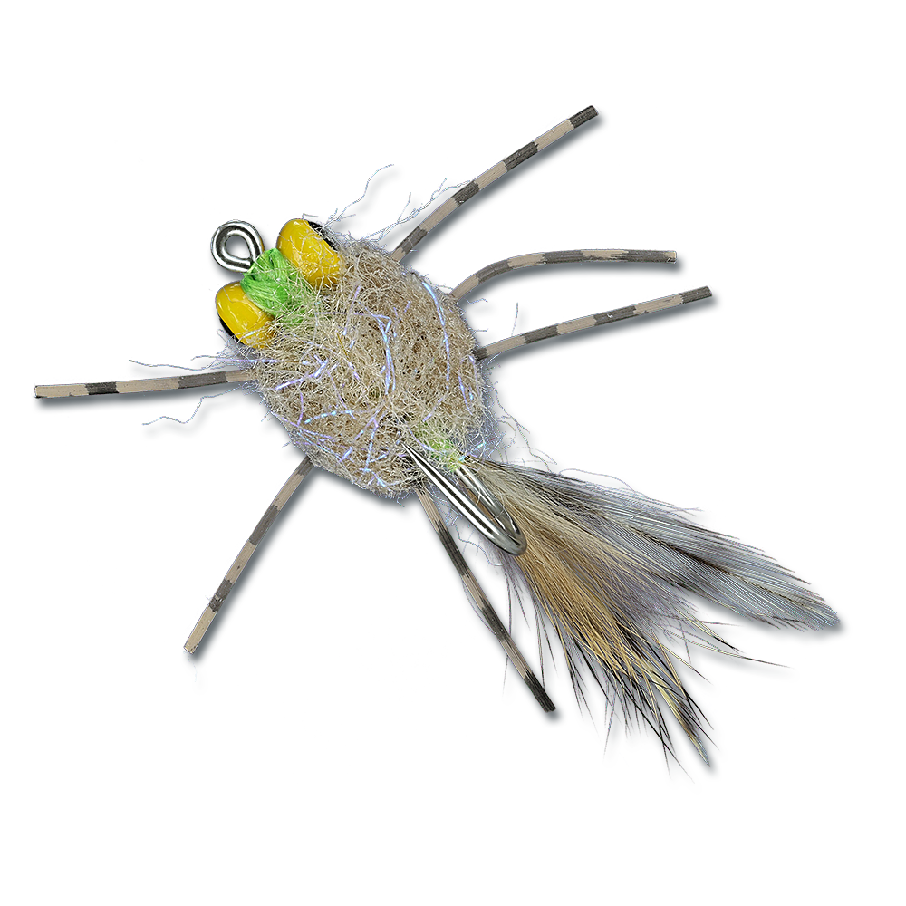 ESB Yellow Eye Raghead Crab - #2