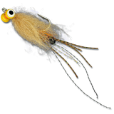 ESB Yellow Eye Spawning Shrimp - #2
