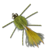 The Raghead Crab (Isley's)