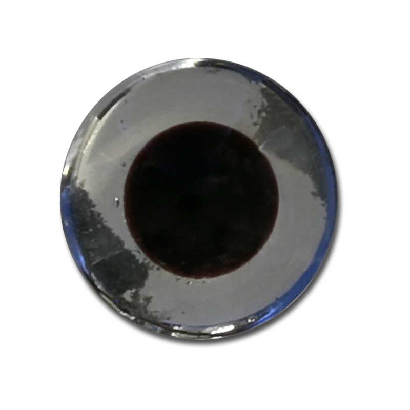 The Fly Shop's Glass Taxi Eyes