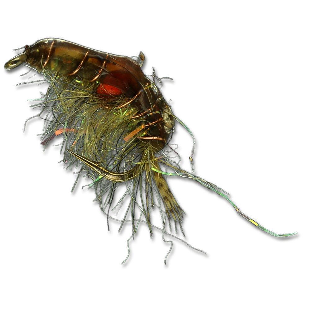 Expecting Scud - #14