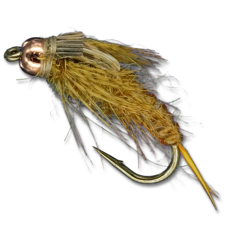 Andy's Conat Special