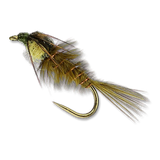 RP's Point Fly