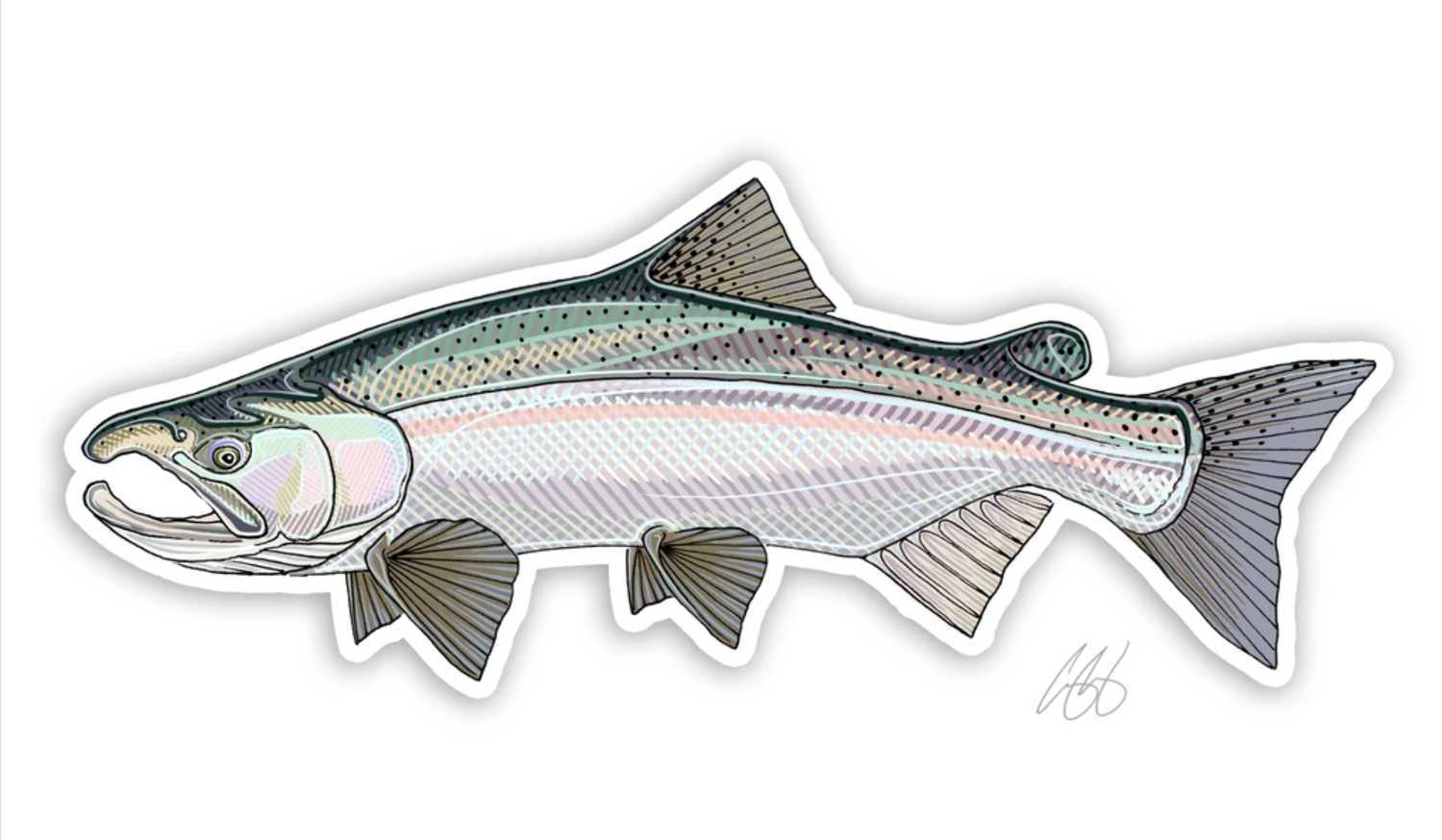 Casey Underwood Fish Decals