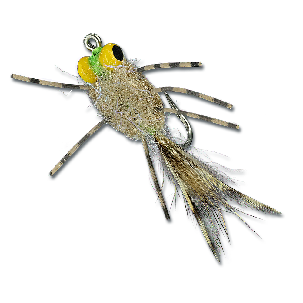 ESB Yellow Eye Raghead Crab - #2