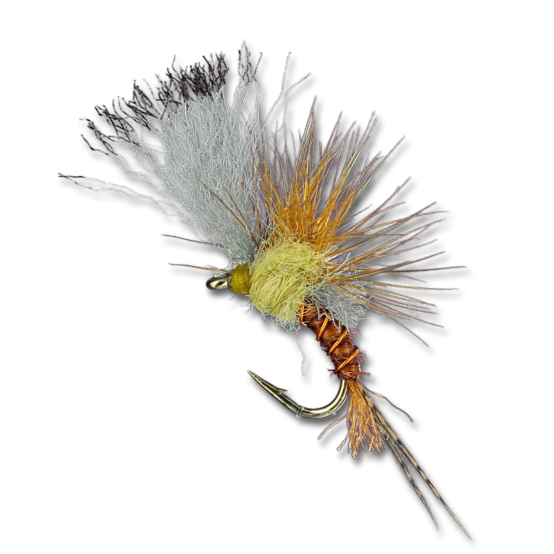 Quigley's Film Critic