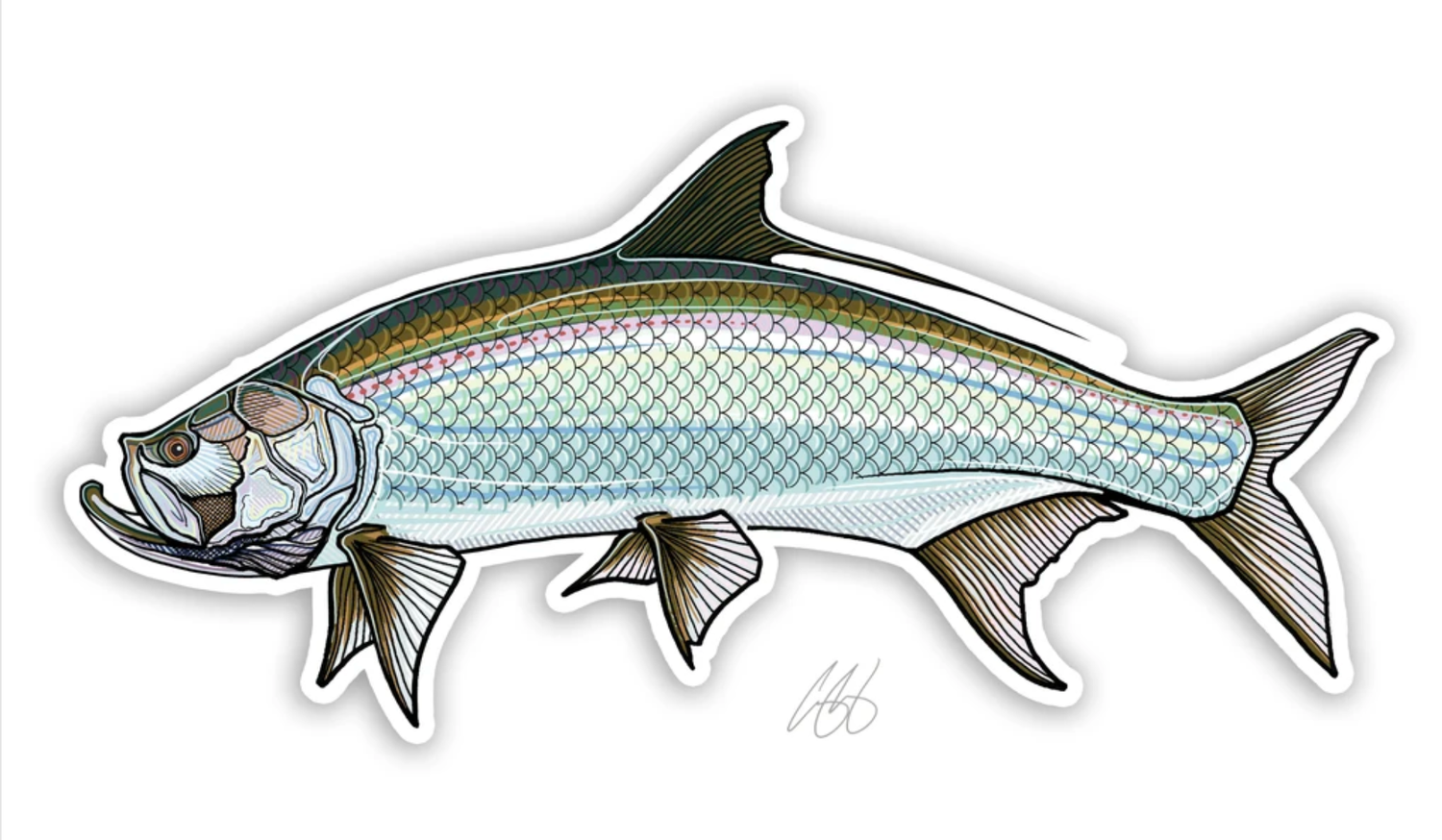 Casey Underwood Fish Decals