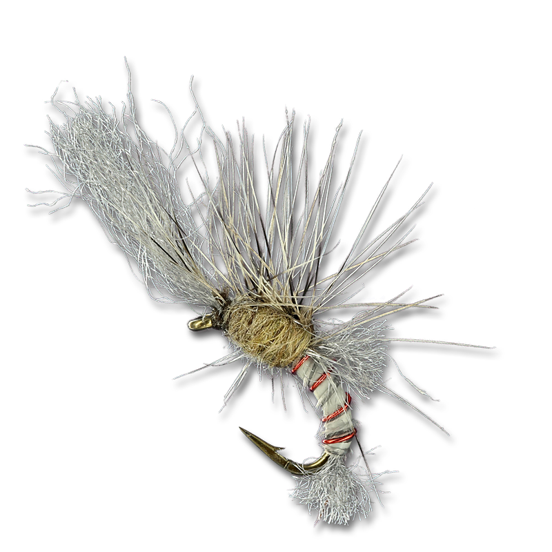 Quigley's Film Critic