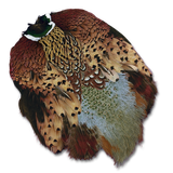Ringneck Pheasant Skin