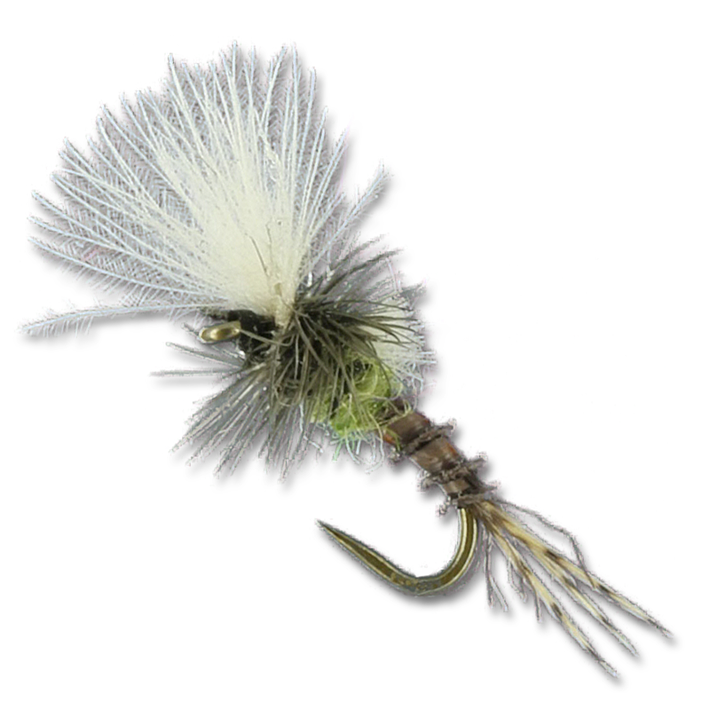 Harrop's Last Chance Cripple